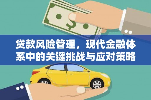 官田贷款风险管理，现代金融体系中的关键挑战与应对策略