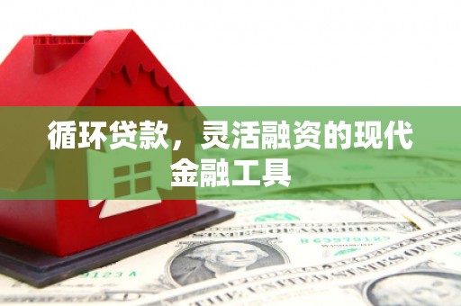 官田循环贷款，灵活融资的现代金融工具