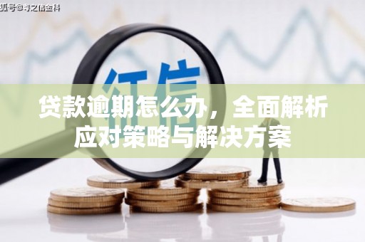 官田贷款逾期怎么办，全面解析应对策略与解决方案
