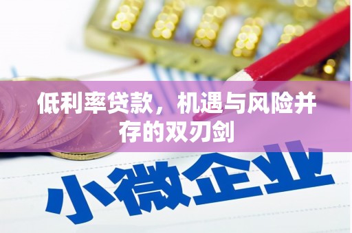 官田低利率贷款，机遇与风险并存的双刃剑