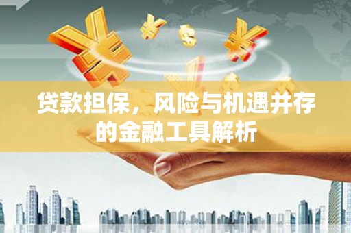 官田贷款担保，风险与机遇并存的金融工具解析