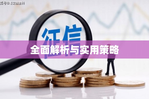 官田全面解析与实用策略