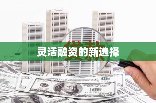 官田灵活融资的新选择