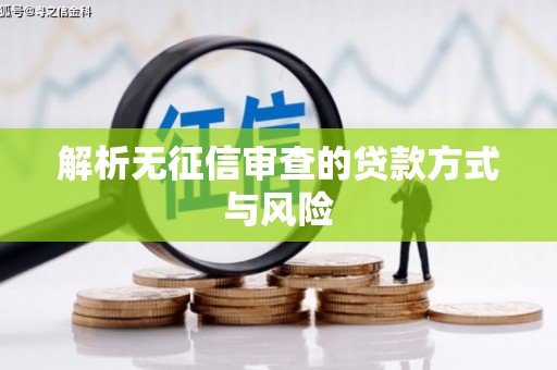 官田解析无征信审查的贷款方式与风险