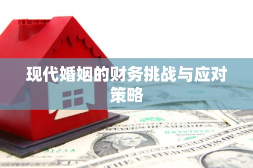 官田现代婚姻的财务挑战与应对策略