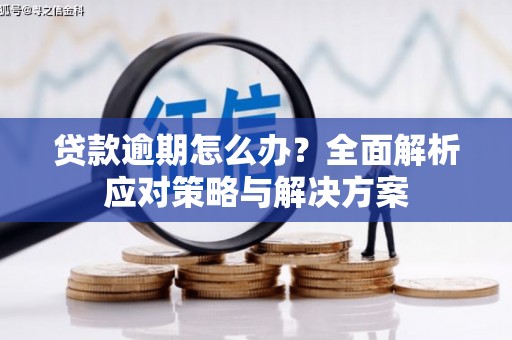 官田贷款逾期怎么办？全面解析应对策略与解决方案