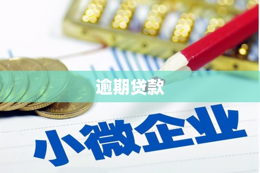 官田逾期贷款