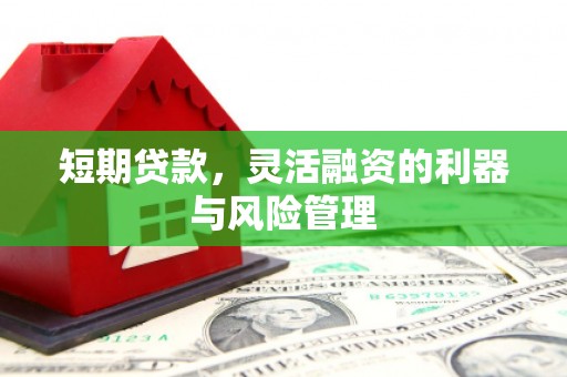官田短期贷款，灵活融资的利器与风险管理