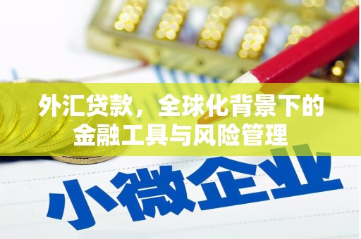 官田外汇贷款，全球化背景下的金融工具与风险管理