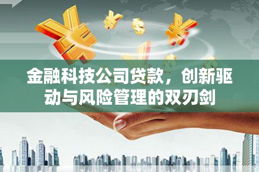 官田金融科技公司贷款，创新驱动与风险管理的双刃剑