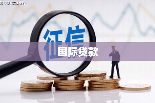 官田国际贷款